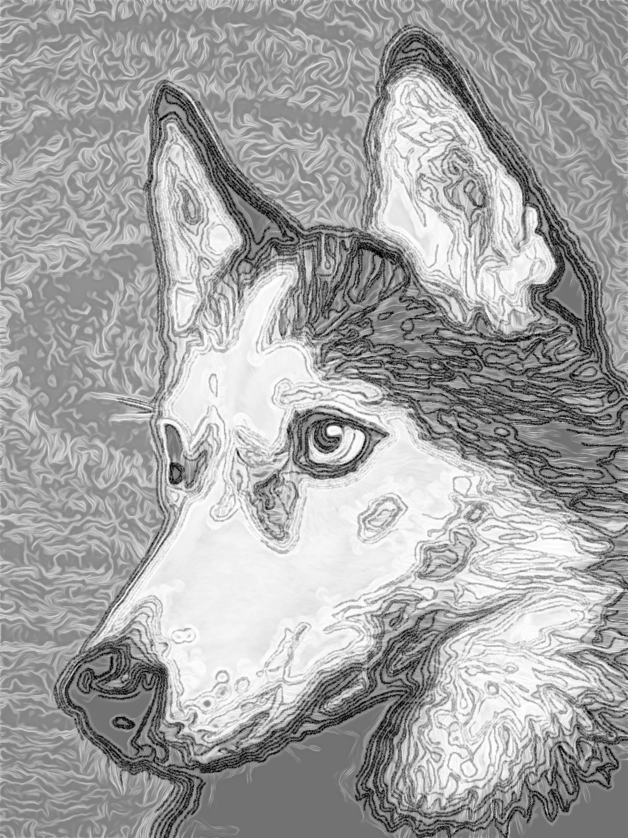 2021-08-22 16-04-42 __-drz-__-1122373-unsplash with JVID effect MD (Doodle Draw Graphic Effect) v.D barbouillage after.jpeg
