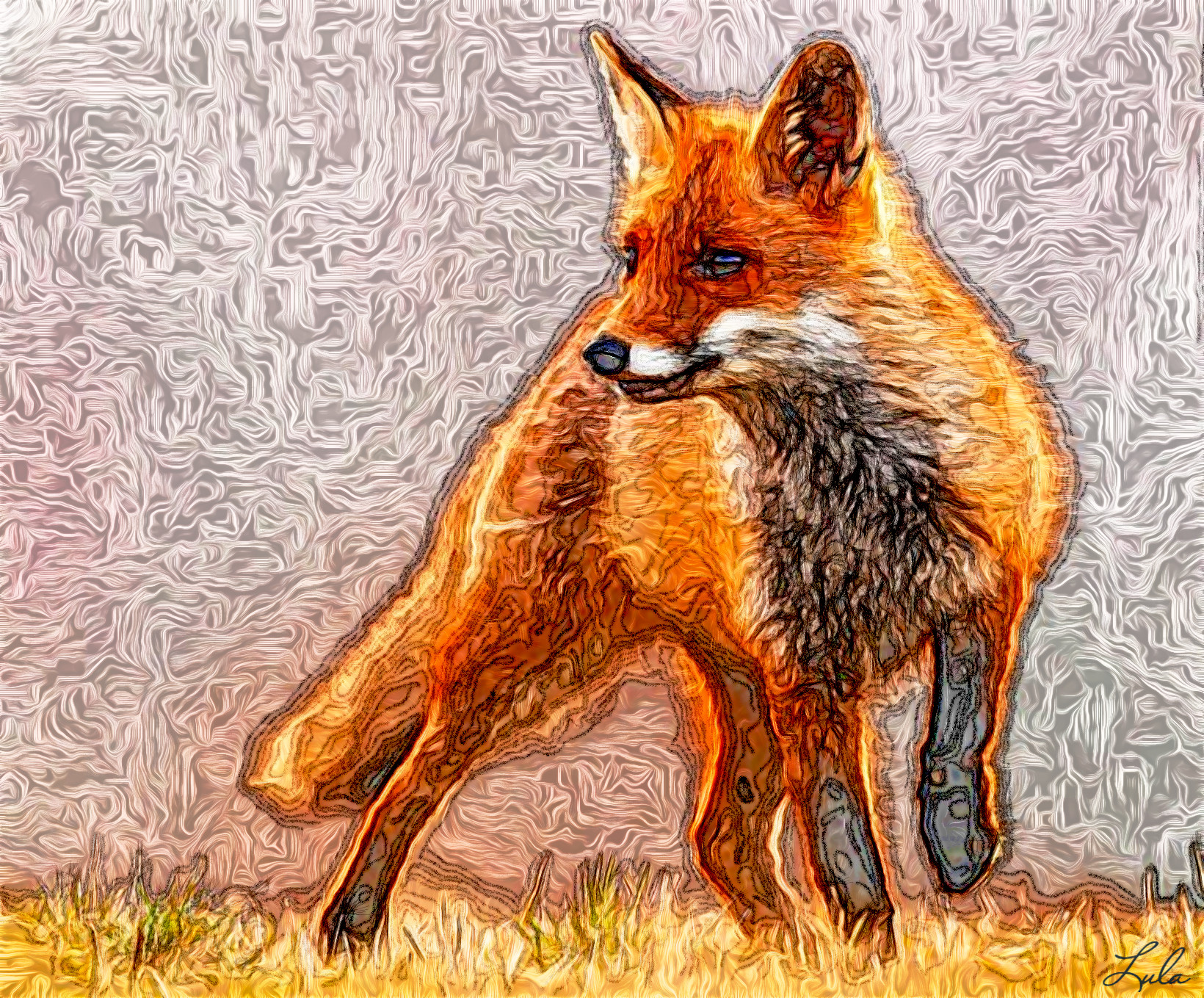 renard.JVID.MD.after.jpg
