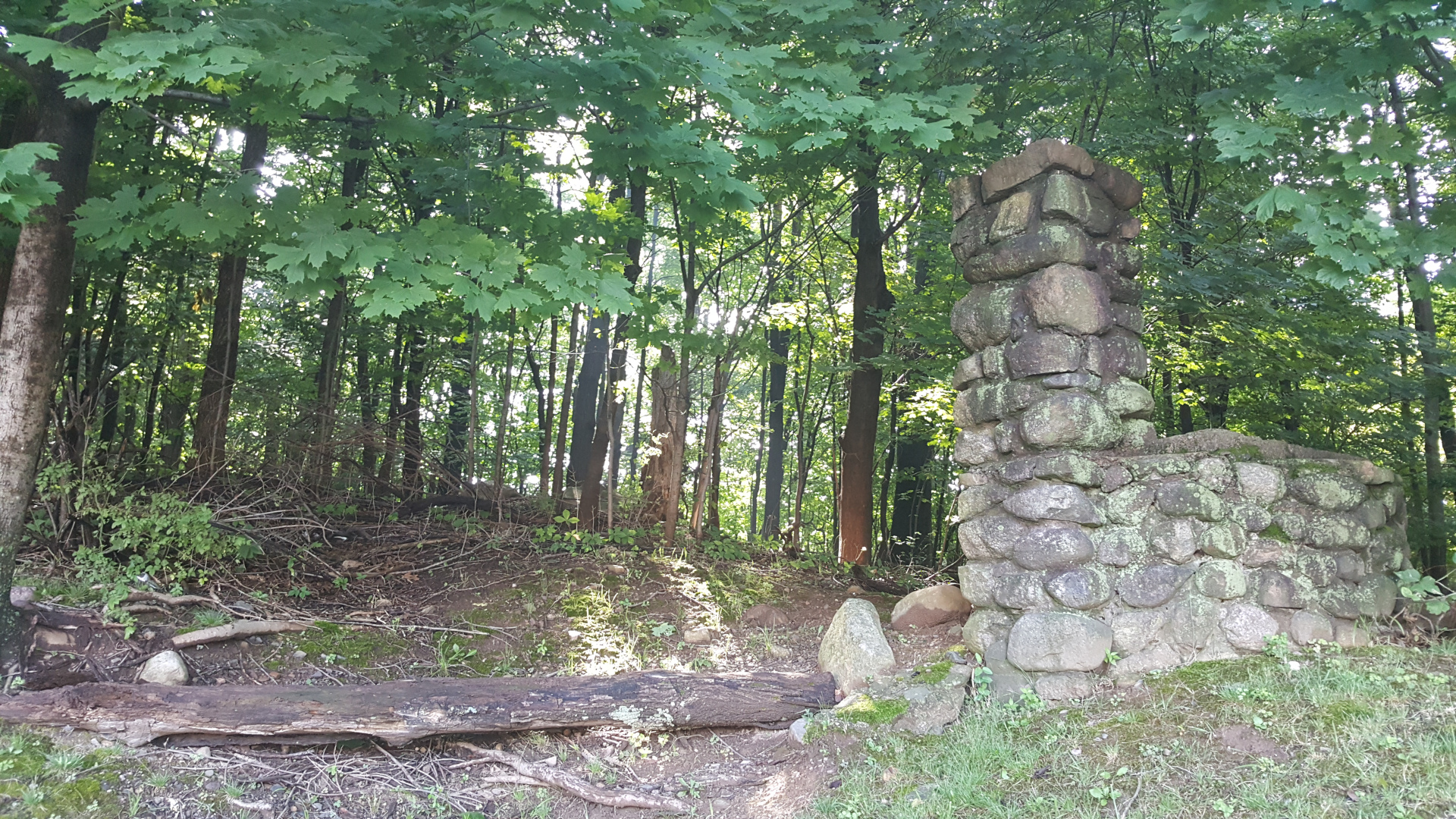 20190808_093539_orig_1920.jpg