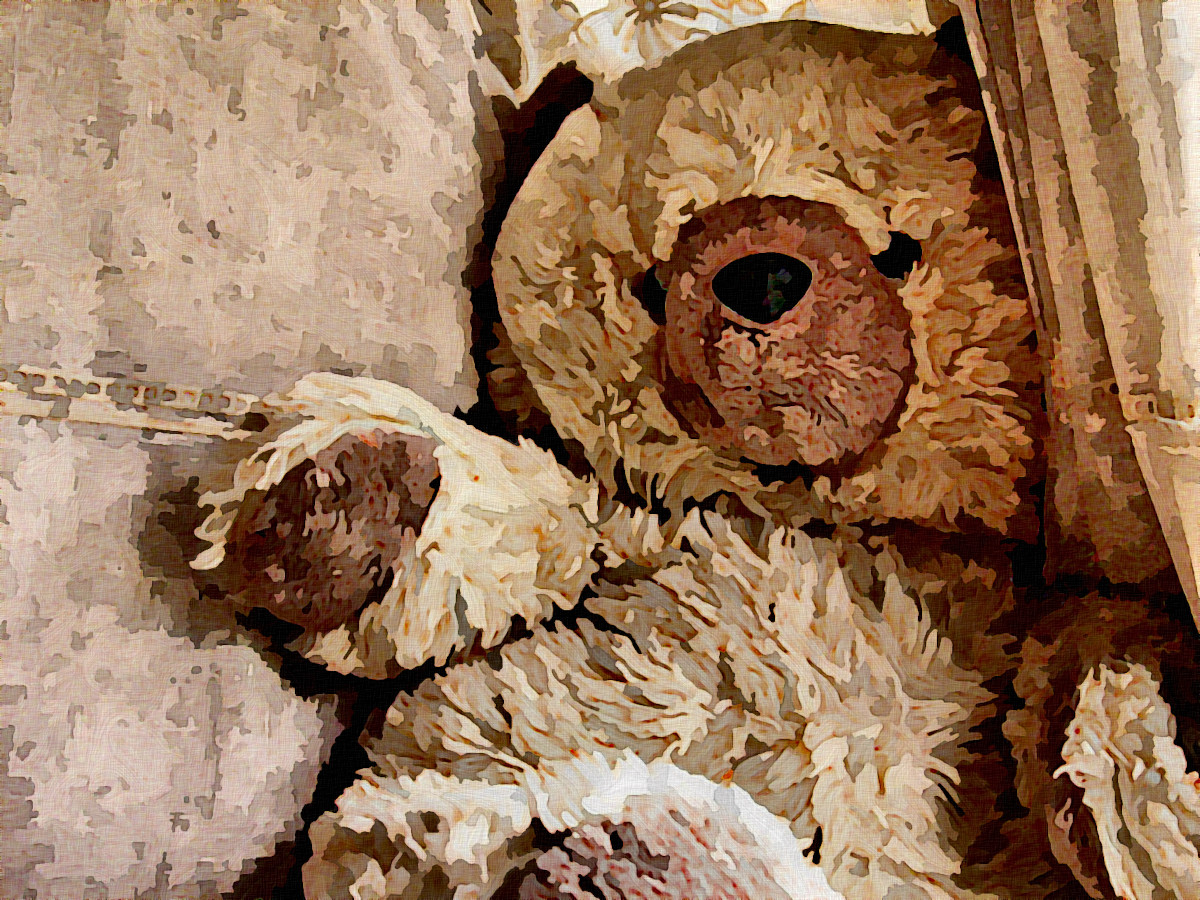 Jvid.P.DN-Teddybear.jpg