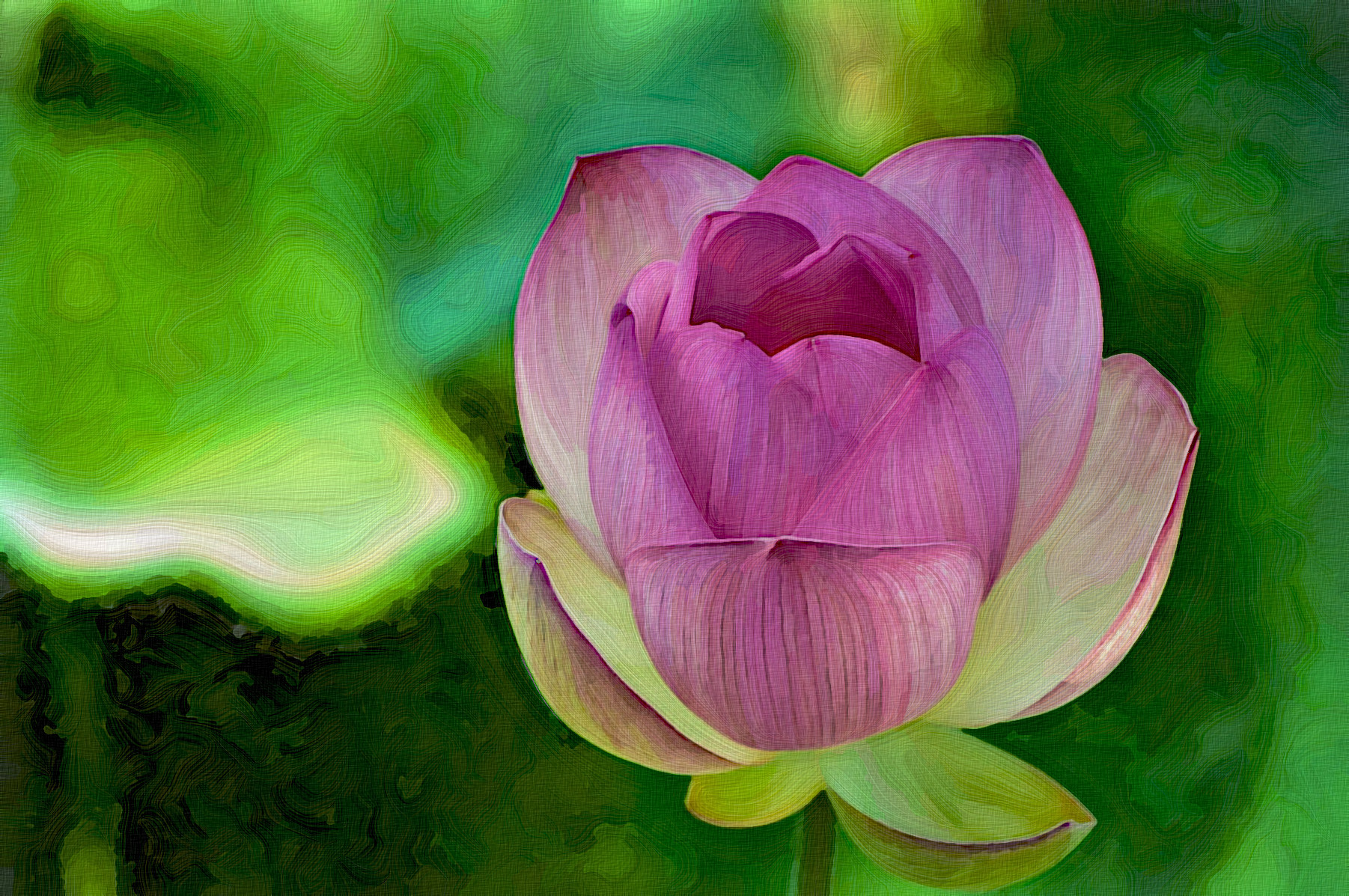 lotus-1150107_GraphicEffect_Jvid_PA.jpg