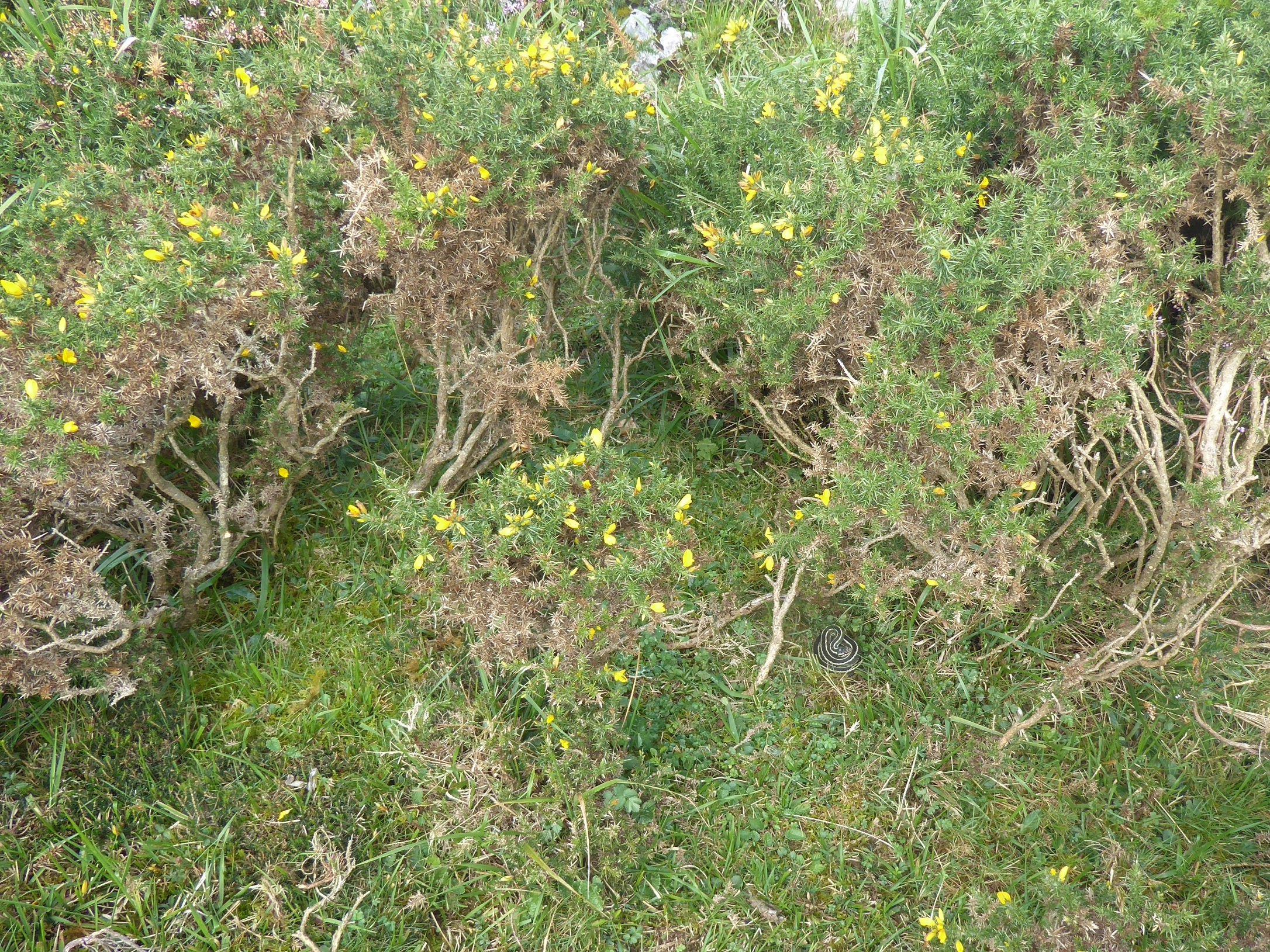 P1080848 (2).JPG