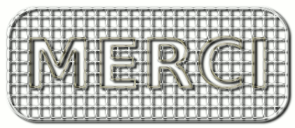 Wire_Art_Text_merci.png