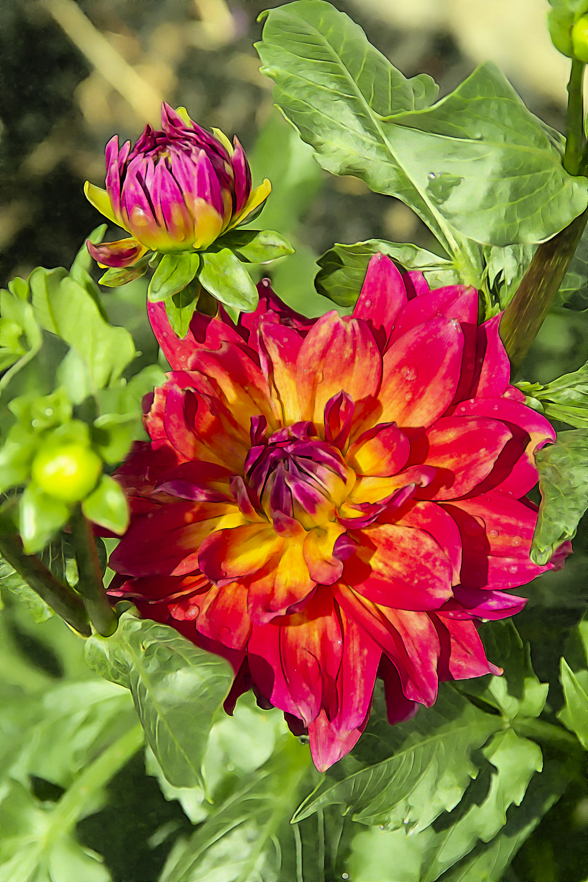 RedandYellow3.jpg