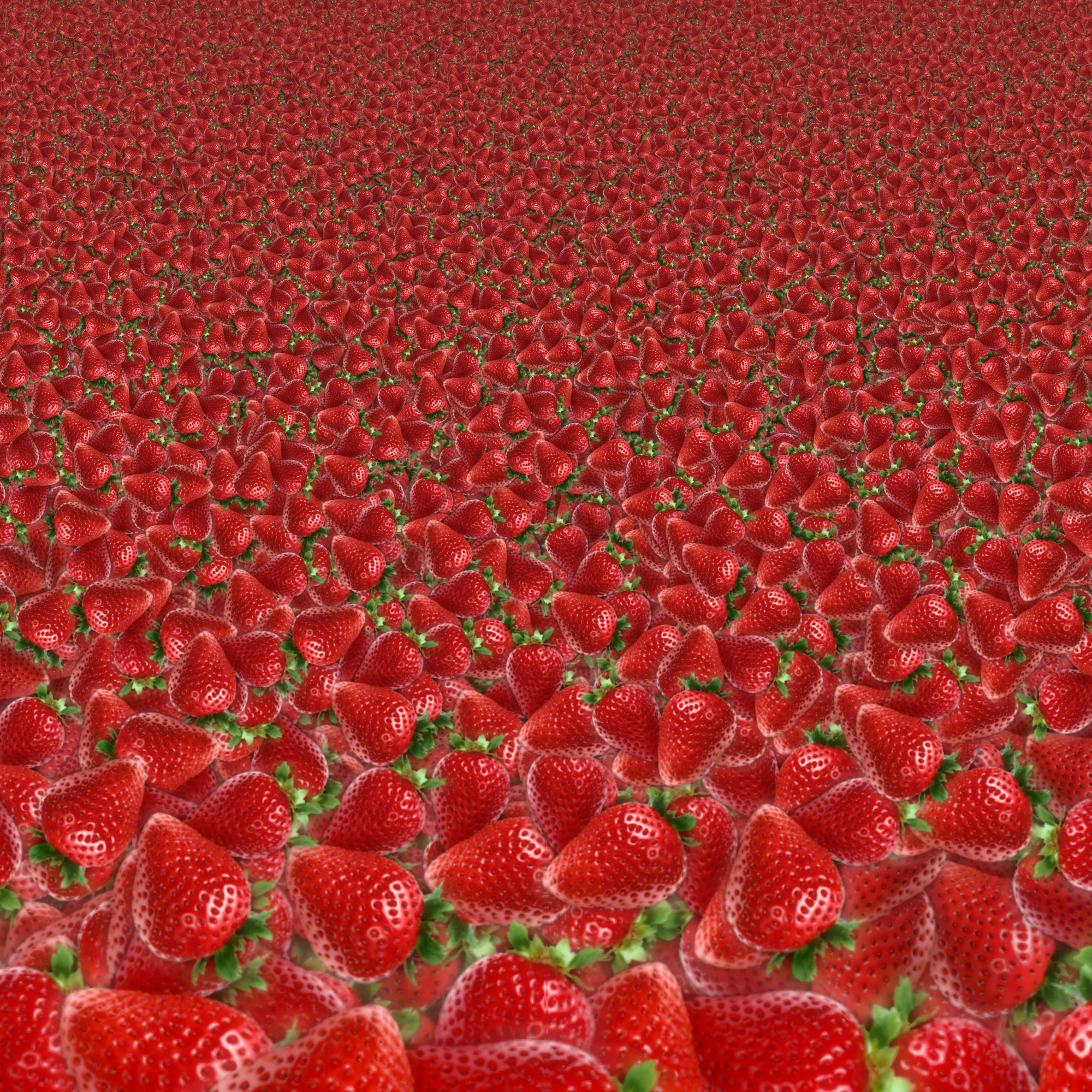 s_field.jpg