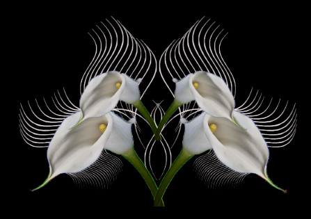mandala_tube_flower_brush.png