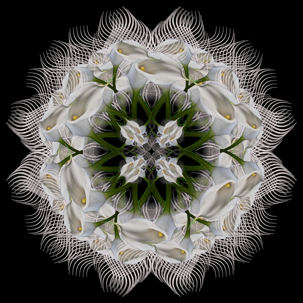 mandala_tube_flower.png