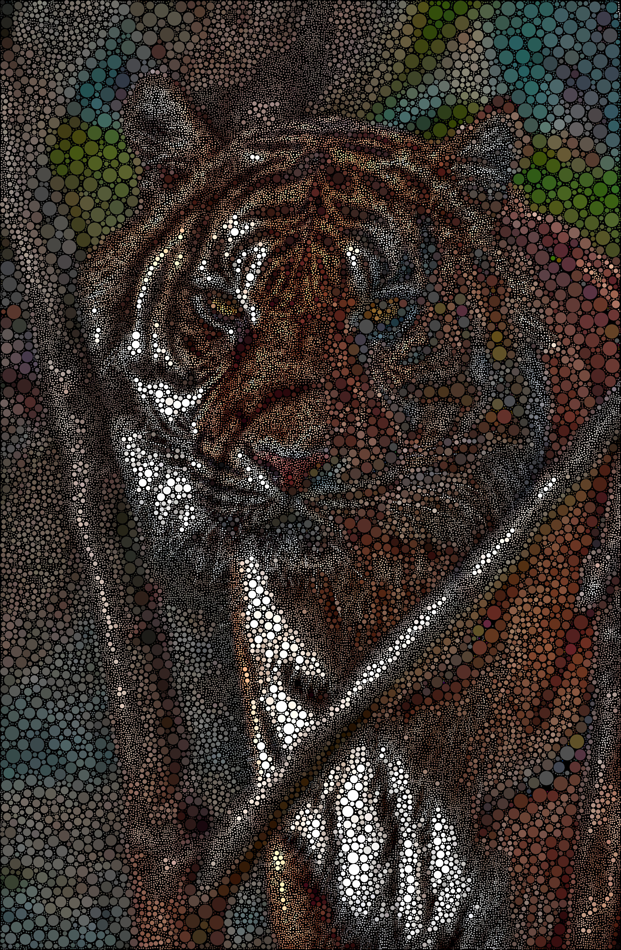 tigerdots.jpg
