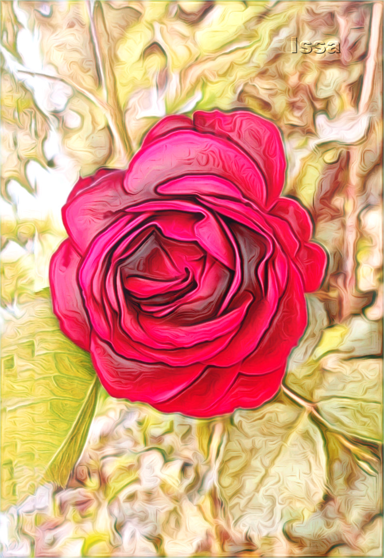 Rosa-Roja-MyWay_Issa.JPG