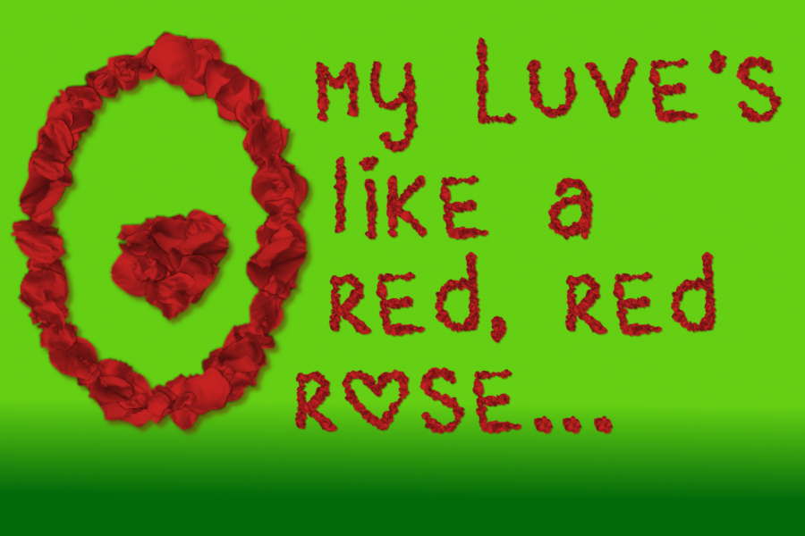 RedRedRose.jpg