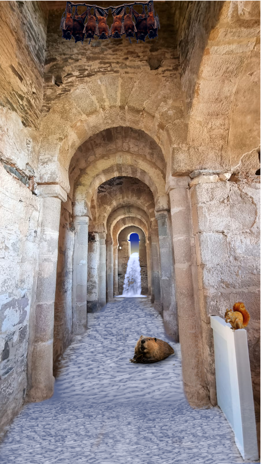 issa_tunnel.png