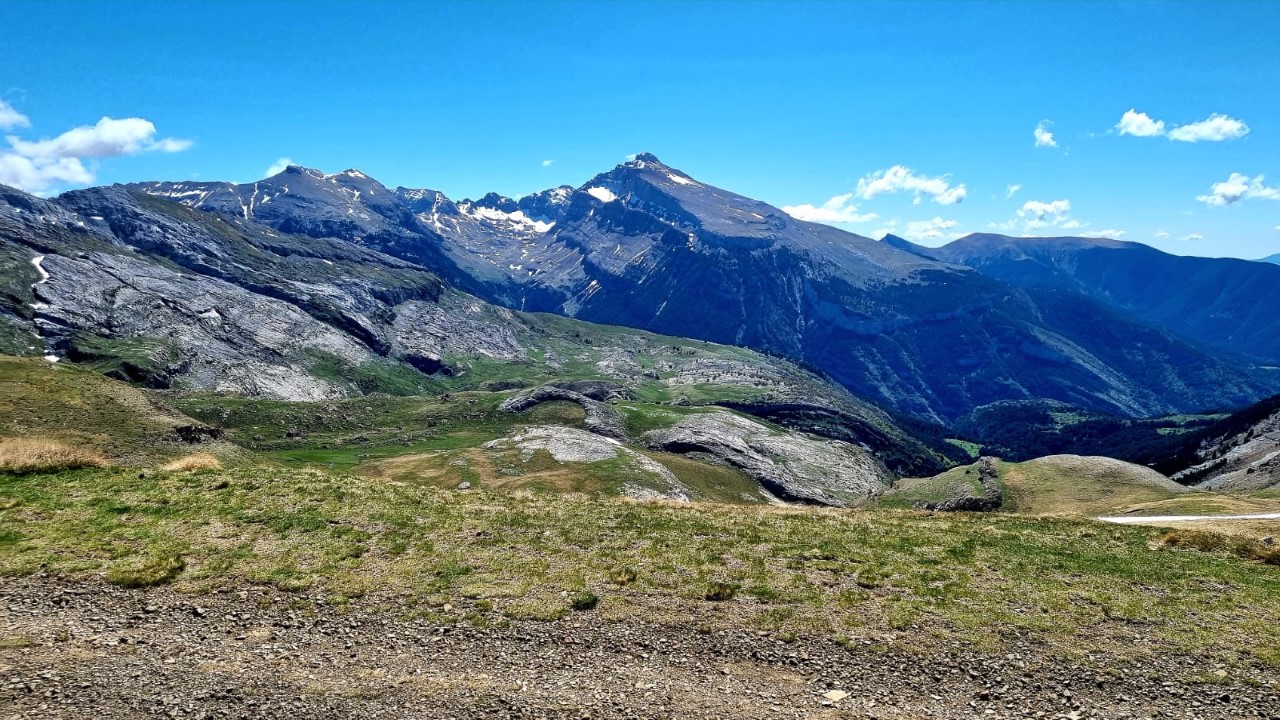 thumbnail_9f55cbc4-734a-4145-844e-e6ae04e210d1.jpg