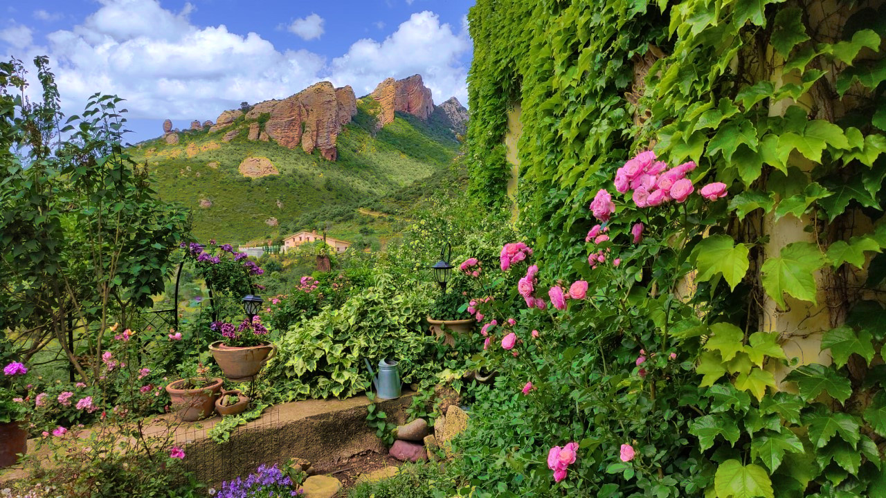 thumbnail_e7dfd49e-12ce-46b6-96bb-fb68353a45c3_1.jpg