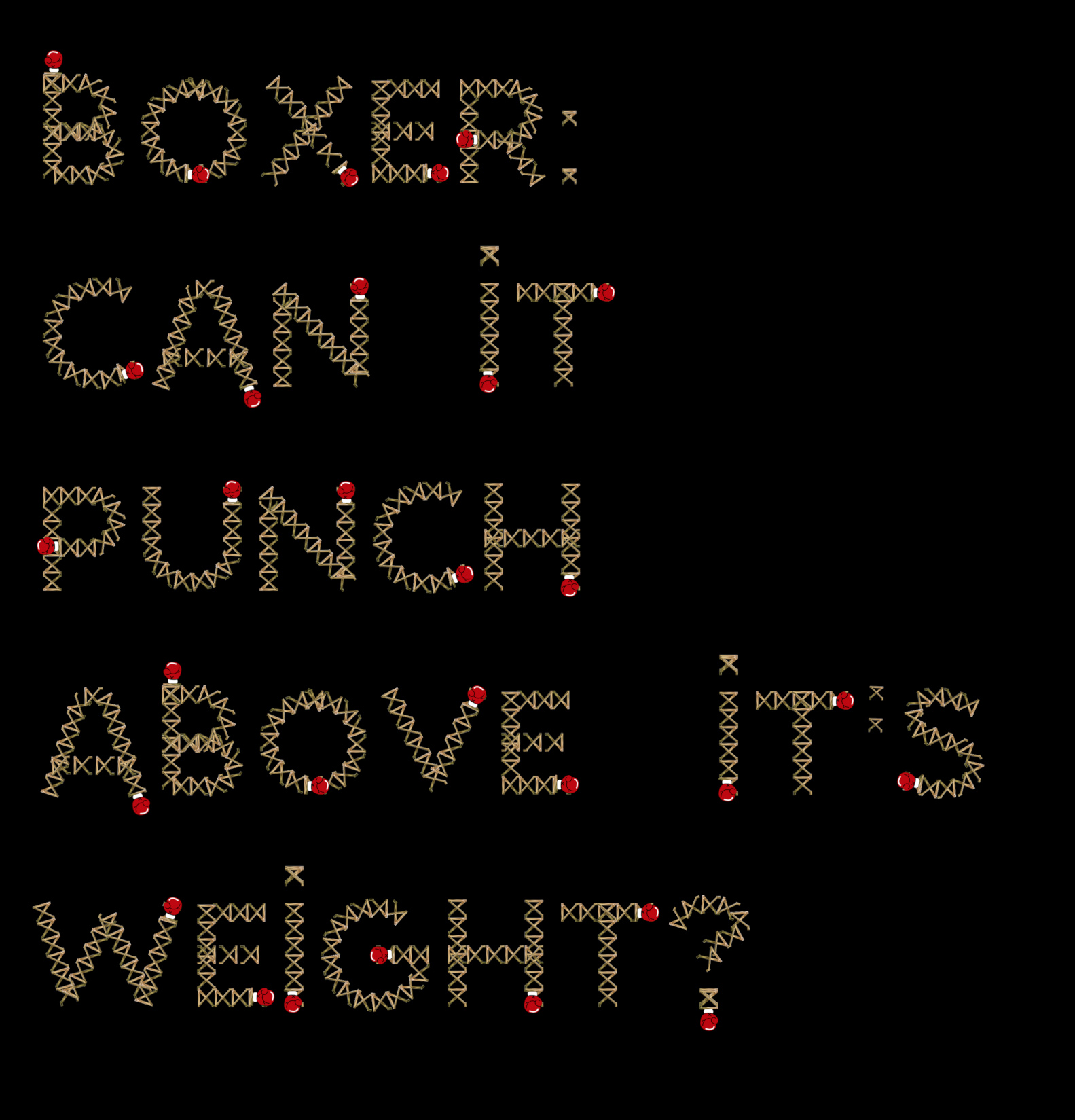 Boxer.jpg
