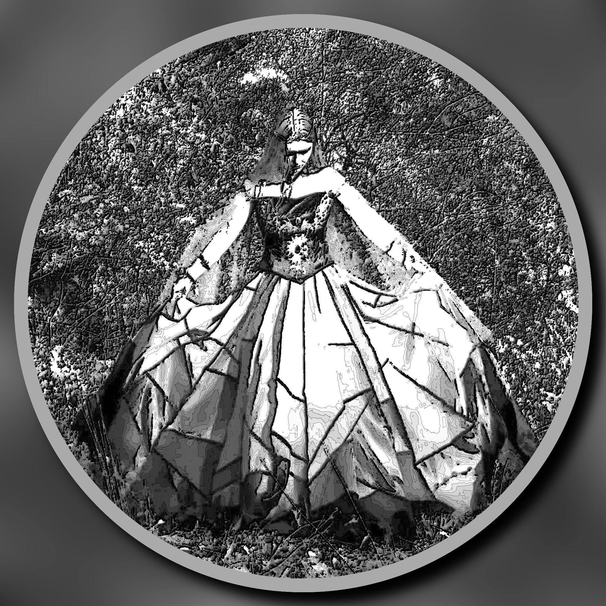 2023-06-14 09-44-08phoenix_by_aquilina108_dessjo1-fullview_portrait with a framed line art effect, styleConvolve Sobel X+Y.jpg