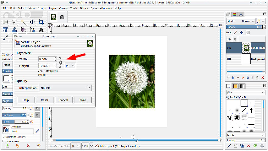 02-tifprint.jpg