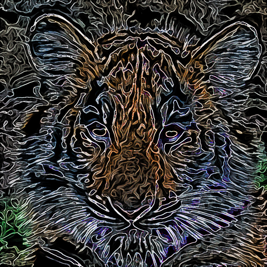 test_filtre_2.jpg