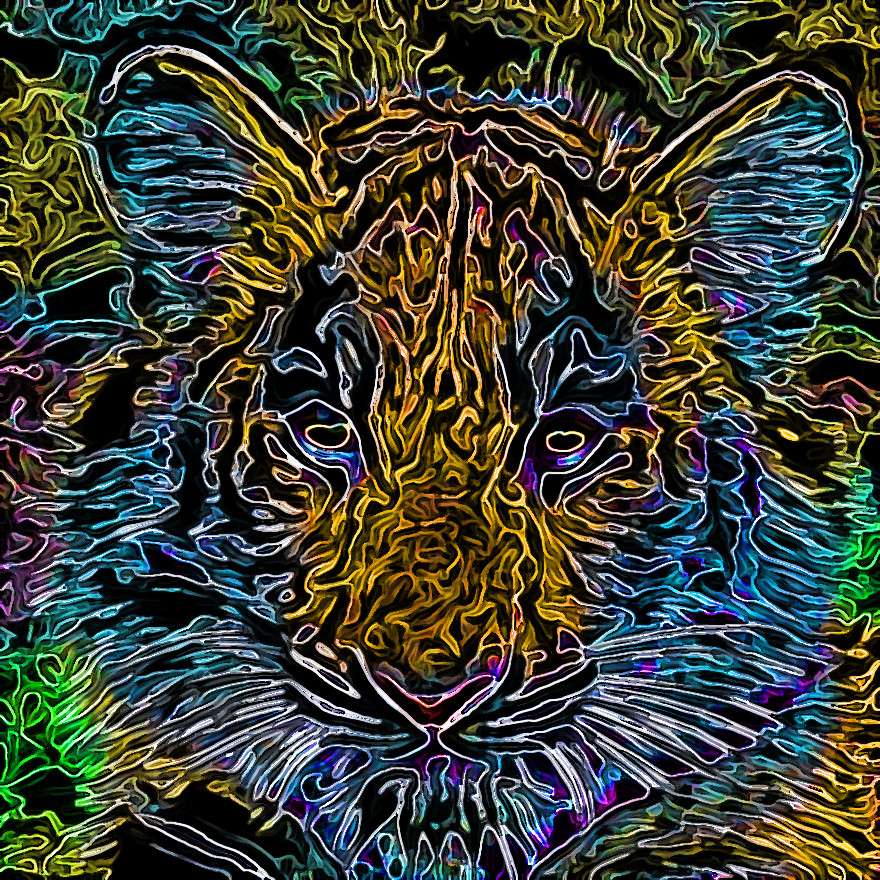 boosted_colors..jpg