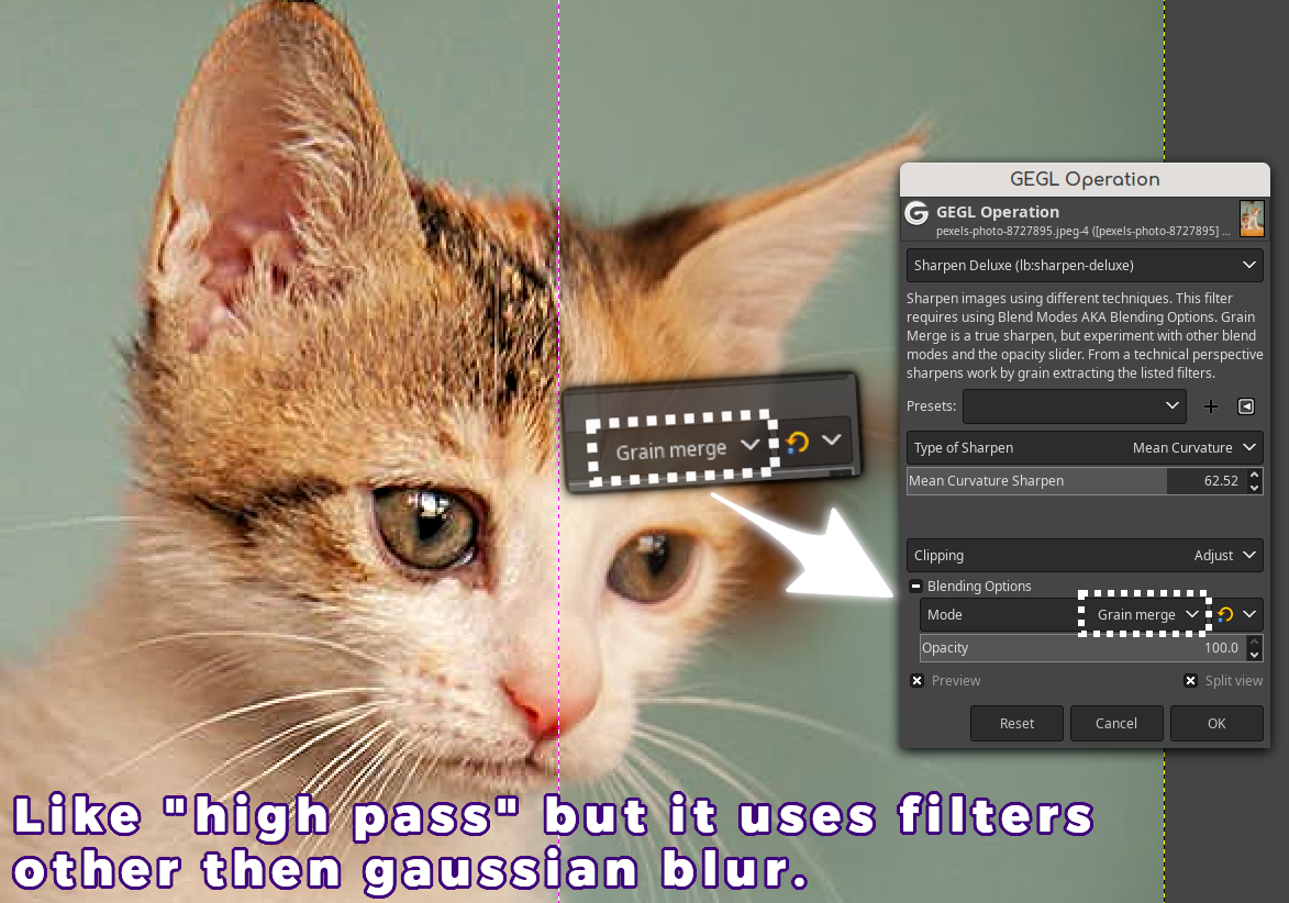 preview_1.png