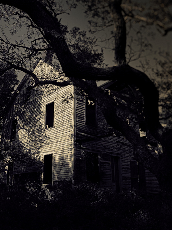 patdavid.net - House A_sml.jpg