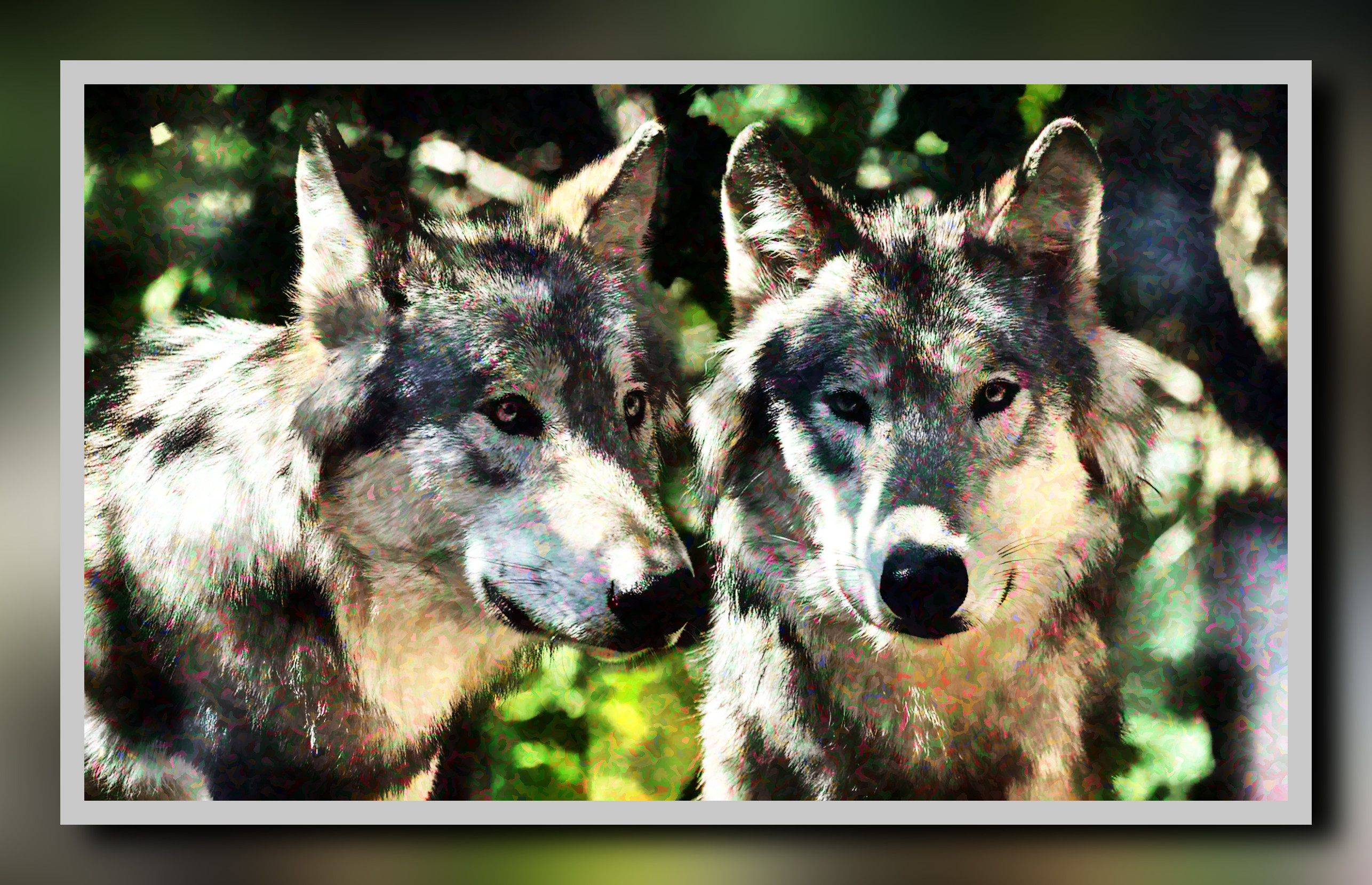 2023-10-04 18-32-49wolf-2984865 with a framed patterned effect, styleCamouflage (prep.step choosen=Local Processing (Normalize)..jpg