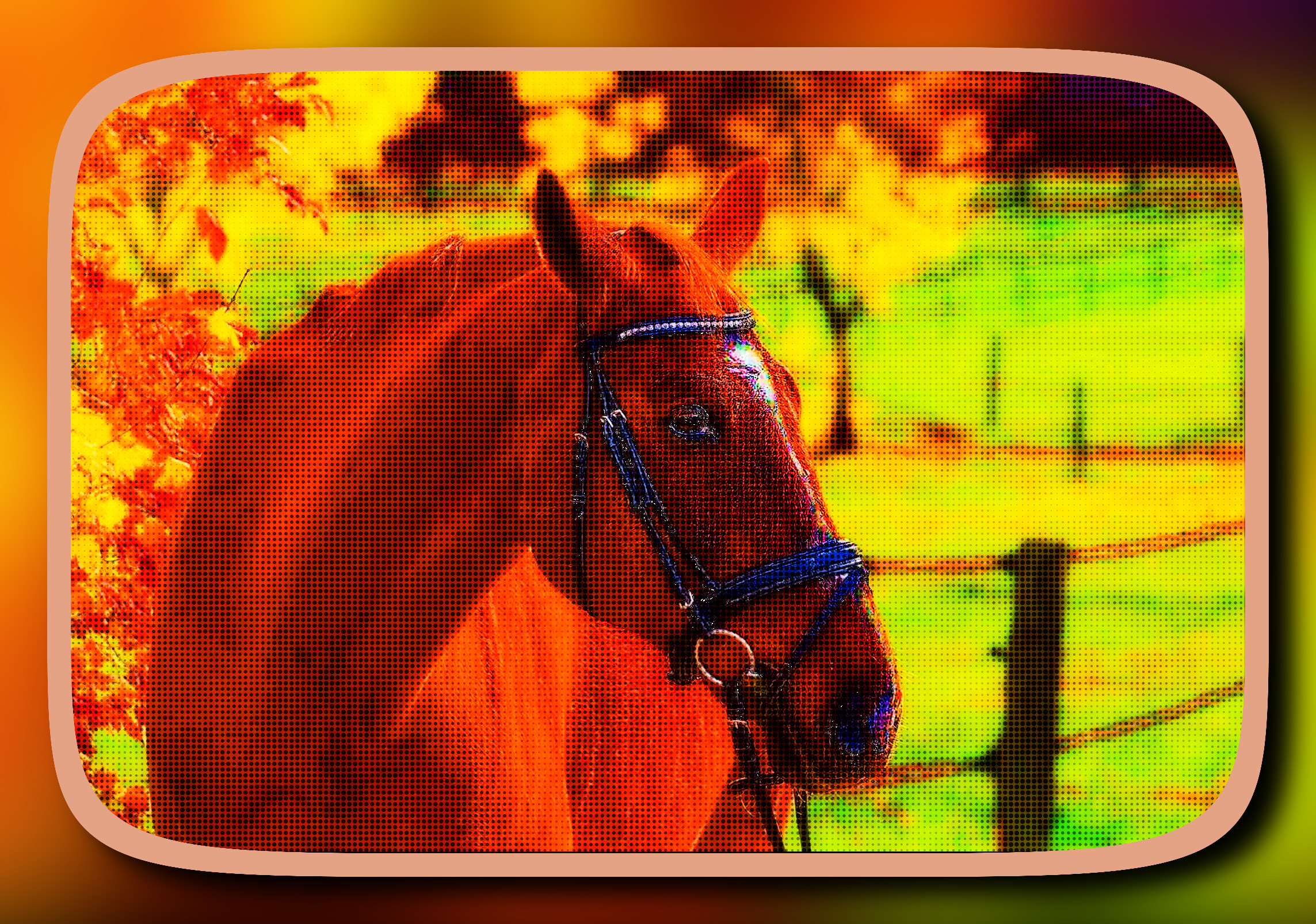 2023-10-05 07-30-37horse-4847088 with a framed patterned effect, styleShapes (prep.step choosen=DCP Dehaze (good for light image..jpg