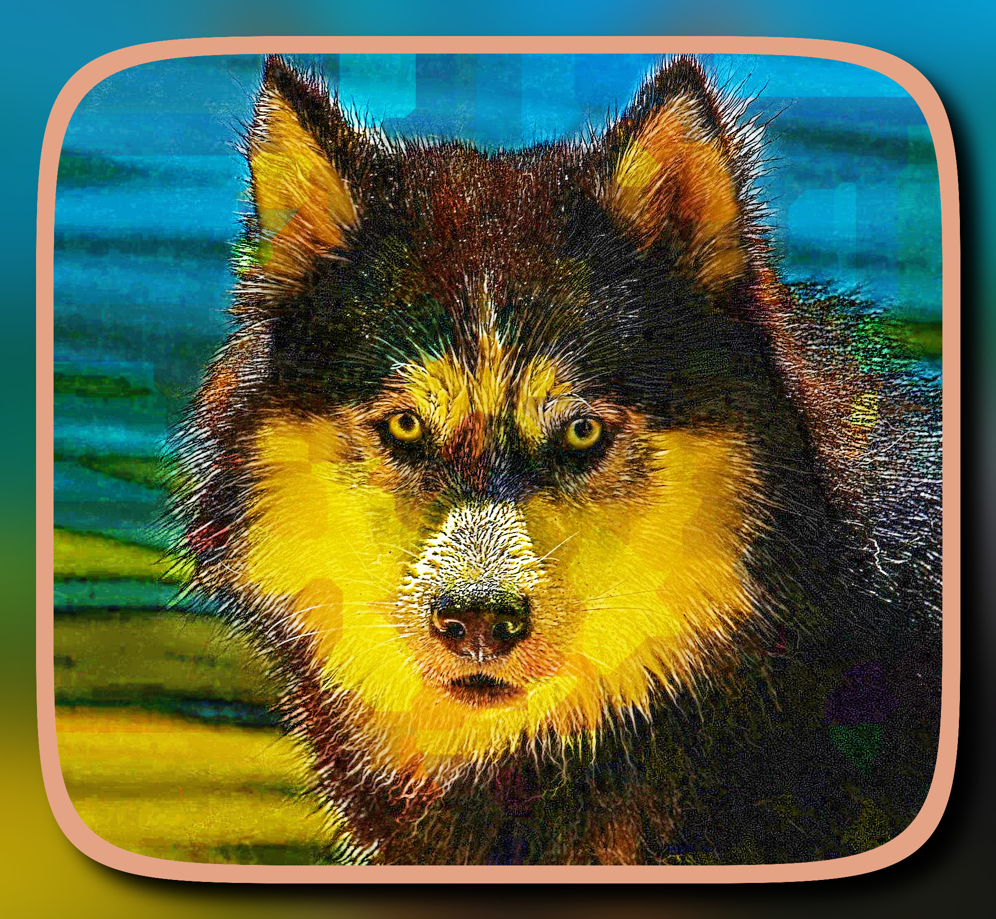 2023-10-05 07-32-03husky-3380548 with a framed patterned effect, styleCrystal (prep.step choosen=DCP Dehaze (good for light image..jpg
