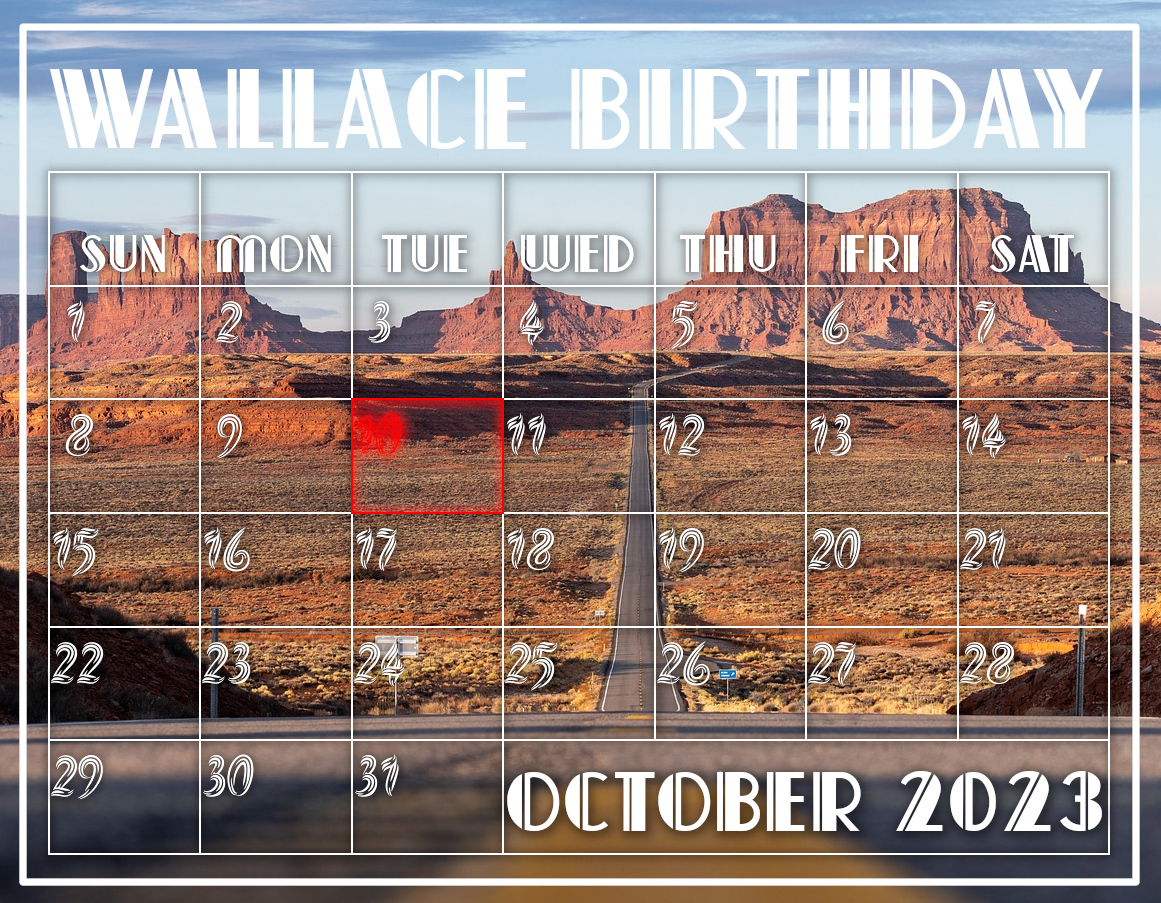 Arizona-Wallace-bd.jpg