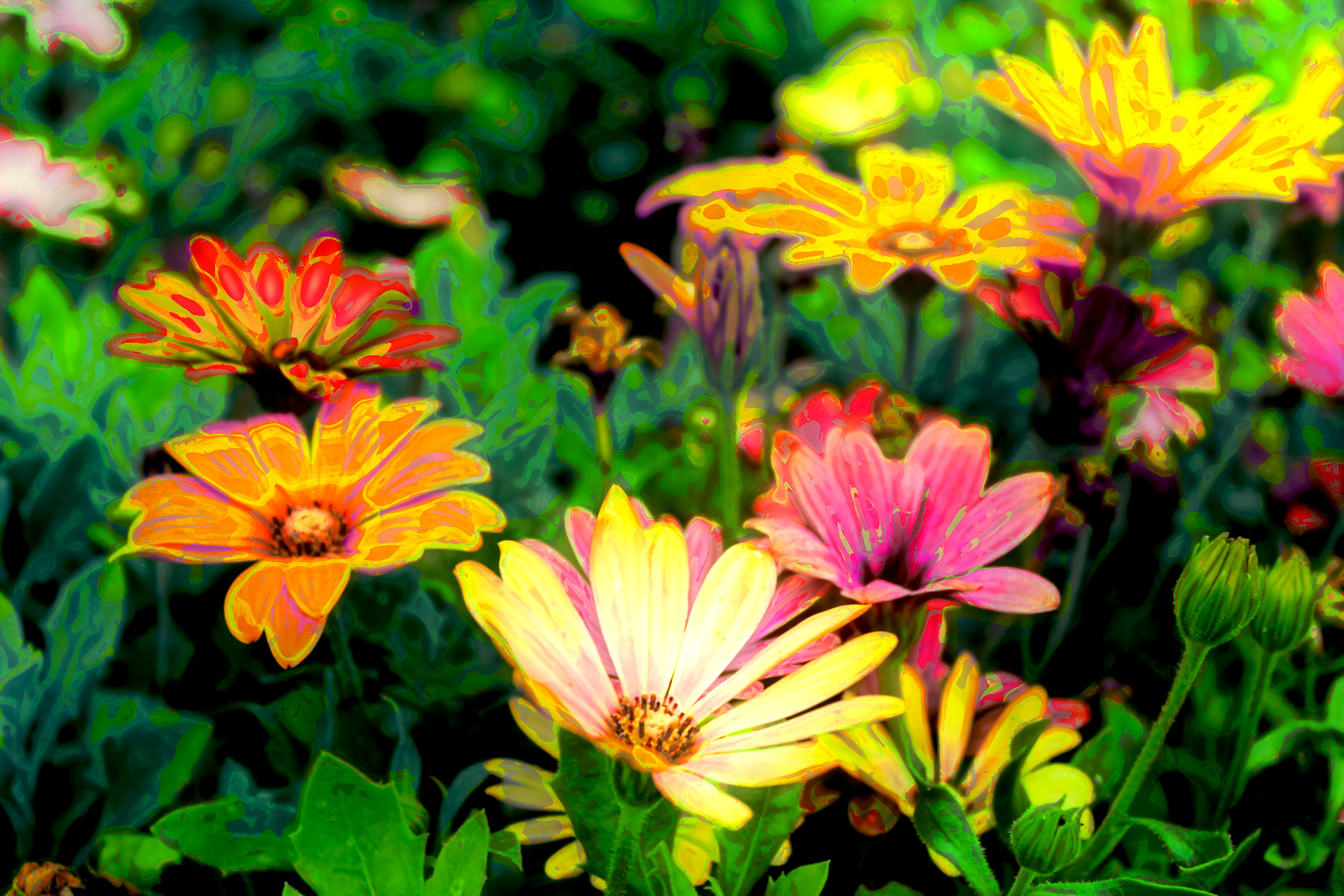 2023-10-15 11-18-33 pexels-leigh-patrick-298246 with a Quick Effect B (Blur Splinter (abstr.mode=LAYER_MODE_HSL_COLOR.jpg