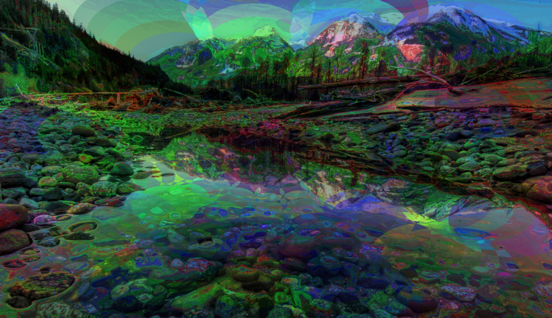 2023-10-15 11-32-33 pexels-james-wheeler-1574181 with a Quick Effect J (Circle Art) (abstr.mode=LAYER_MODE_HSL_COLOR.jpg
