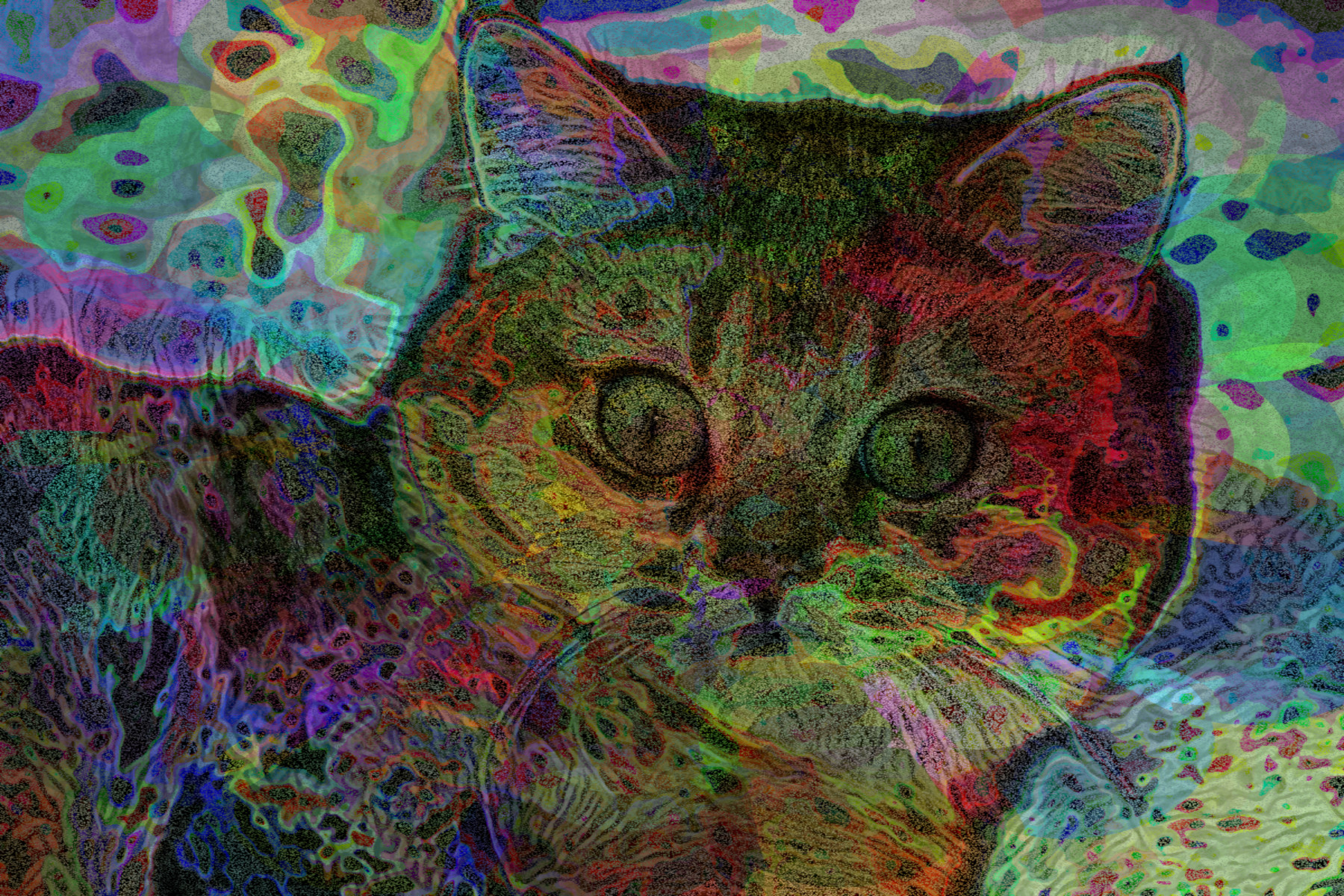 2023-10-19 18-48-24 british-shorthair-7005499_1920 with a Quick Effect J (Circle Art) (abstr.mode=LAYER_MODE_DISSOLVE.jpg