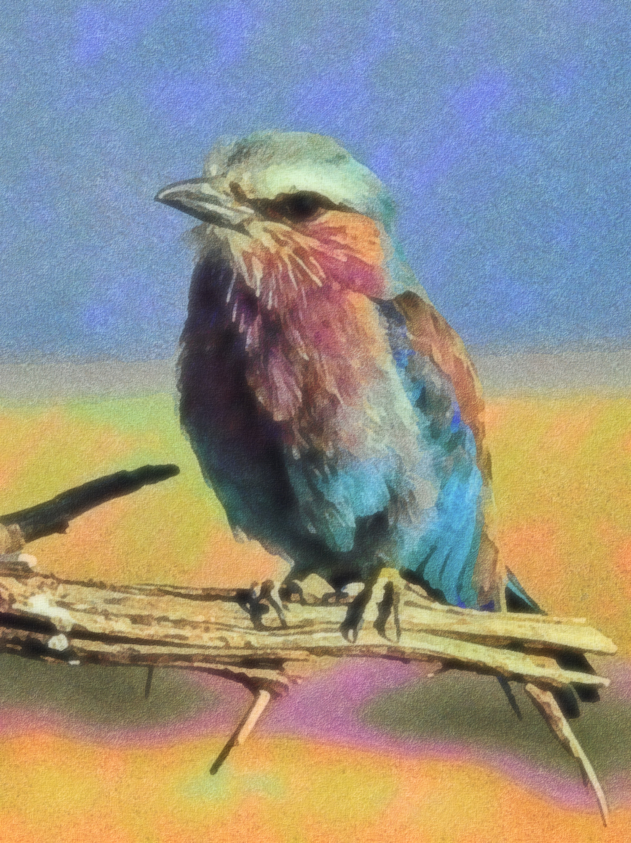 2023-10-21 05-24-02 david-clode-7_TTPznVIQI-unsplash, as a free paint (2023), patterns set=FFLS_P, 16 colours, texture soft, top pattern random, posteffect colors vibrance.jpeg