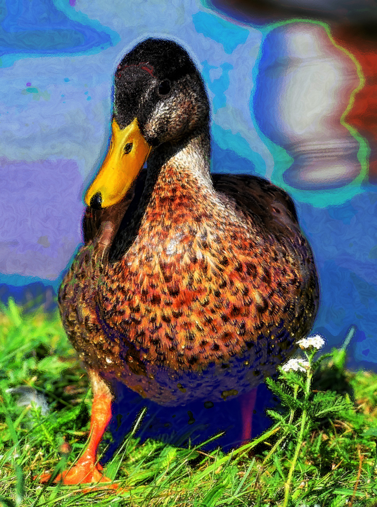 2023-10-21 18-19-06 mallard-3609130 with a Quick Effect H (Textured Glass) (abstr.mode=LAYER_MODE_SCREEN.jpg