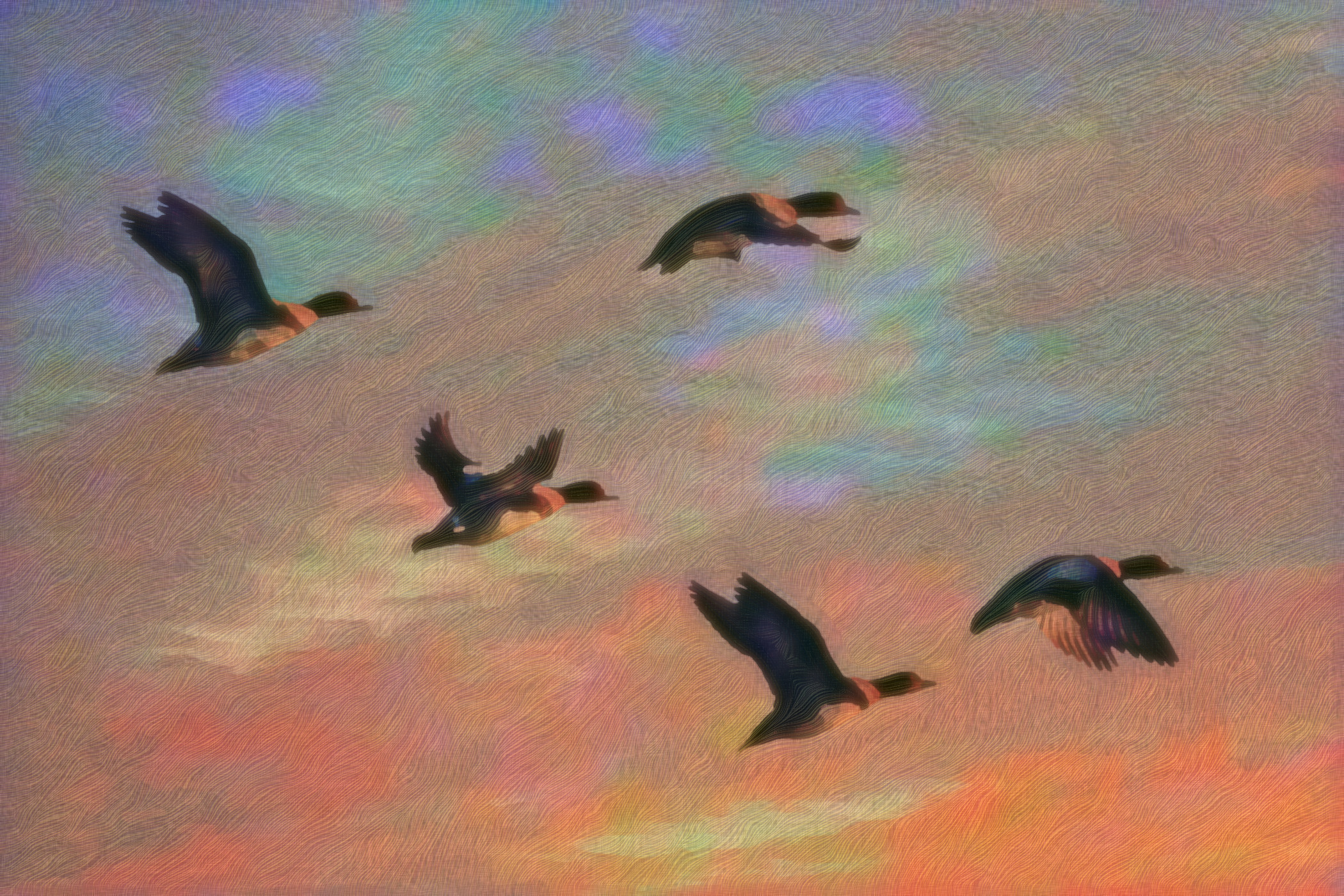 2023-10-25 09-59-34 eurasian-wigeon-4914971_1920, as a free paint (2023), patterns set=FFLS_, 16 colours, texture soft, top pattern hair lock, posteffect colors vibrance.jpg