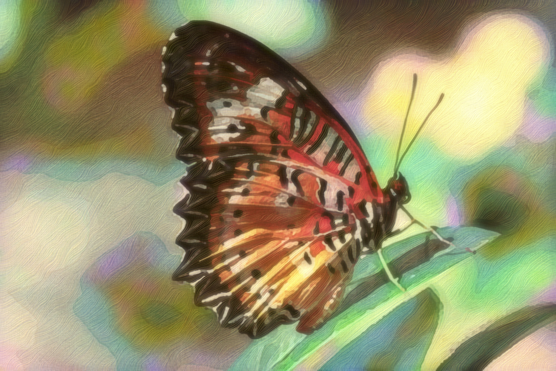 2023-10-26 16-30-41 butterfly-7949342_1920, as a free paint (2023), patterns set=FFLS_, 16 colours, texture soft, top pattern hair lock, posteffect colors vibrance.jpg