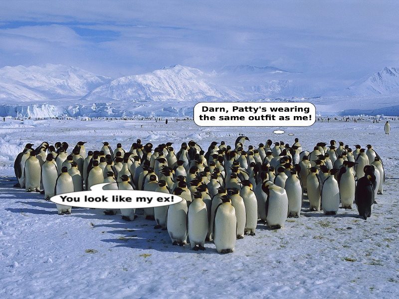gc-penguins-lines.jpg