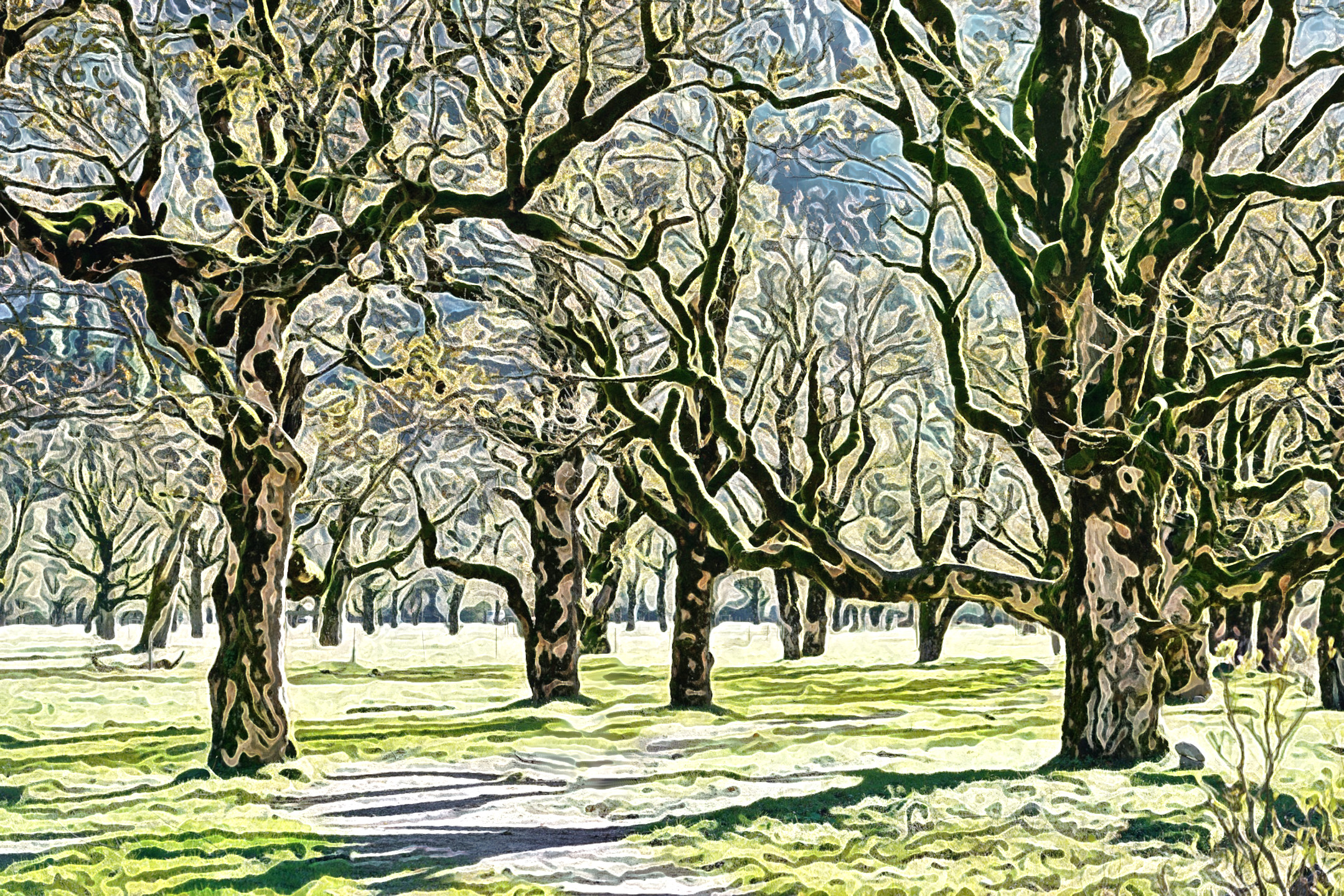 2023-11-12 20-49-34 hike-8336525_1920 with a Free Paint Effect, paint HardPaint, strokes Camouf, contour CPencil, poster ShapePrev, toppat DetailMap, postpro Retinex.jpg