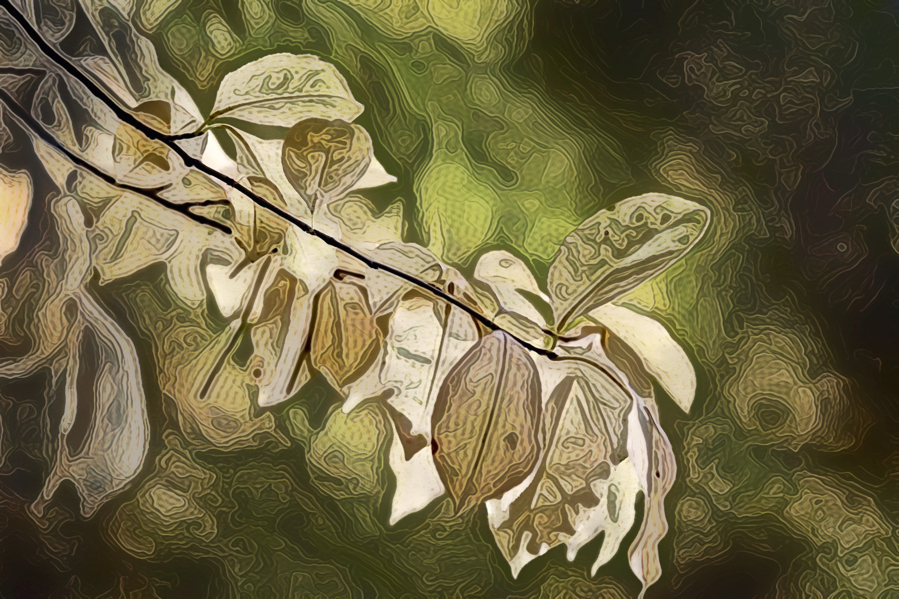 2023-11-13 15-59-33 leaves-8331562_1920 with a Free Paint Effect, paint HardPaint, strokes Waves, contour CPencil, poster GmPoster, toppat DetailMap, postpro Chroma.jpg