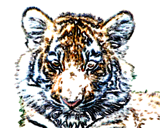 Felt Pen test.png