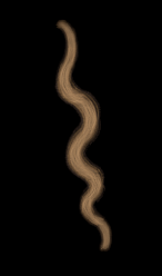 hair_brush.png