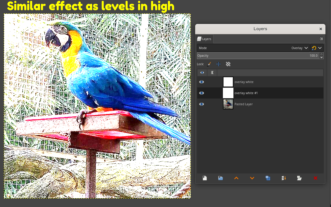 layer_mimic_in_high.png