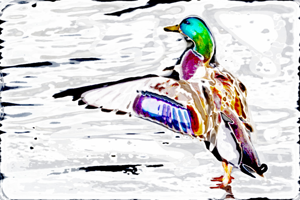test2_Filtre_Noel_2012.jpg