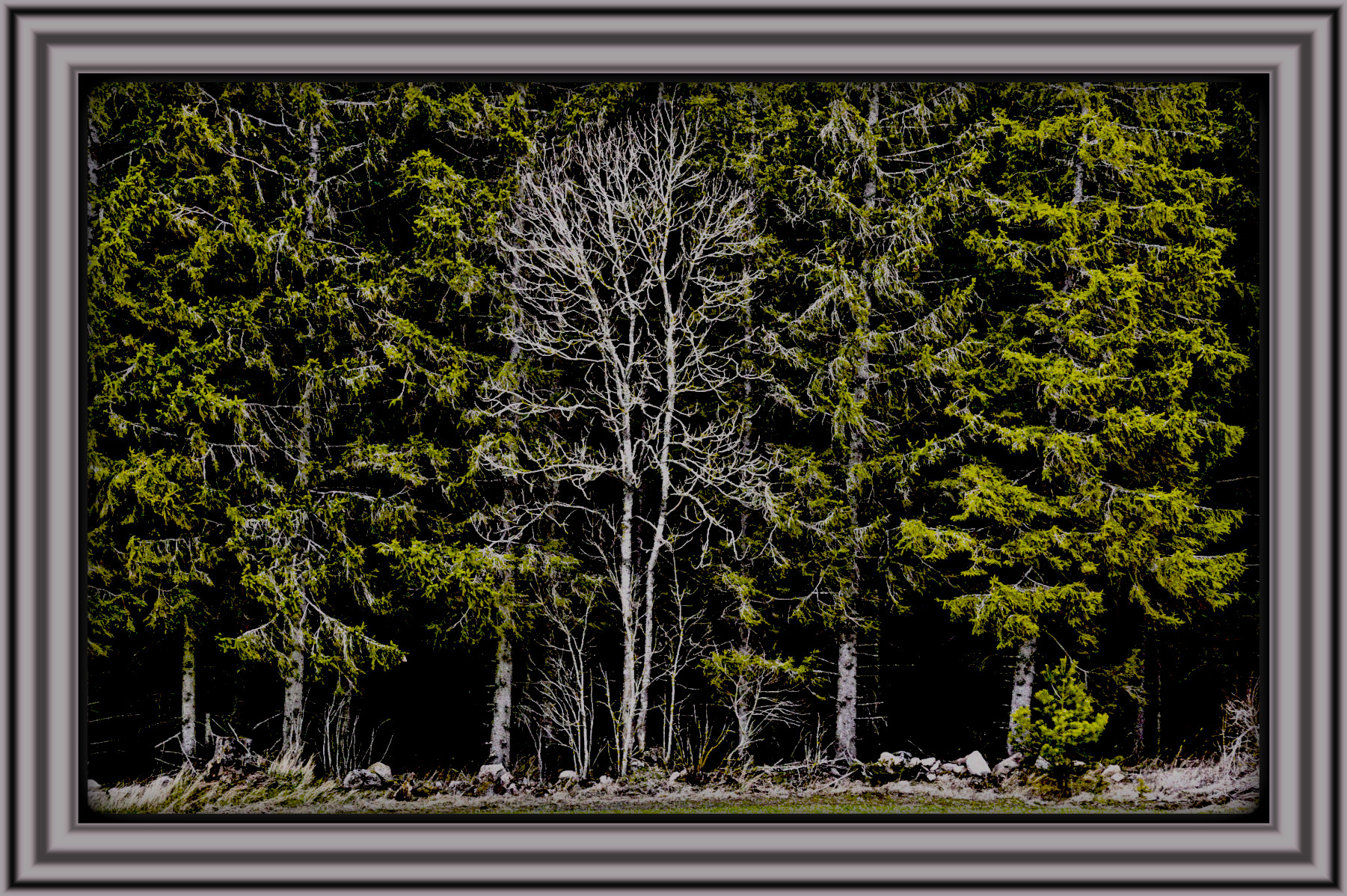 2024-03-28 09-45-00 dgxa9he-129966d0-f94f-461c-bf05-64a2df0111d2 with Lines Art effect, preset=3000,35.0,3.5,Pen Drawing,1,[145,136,140],0,1.jpg
