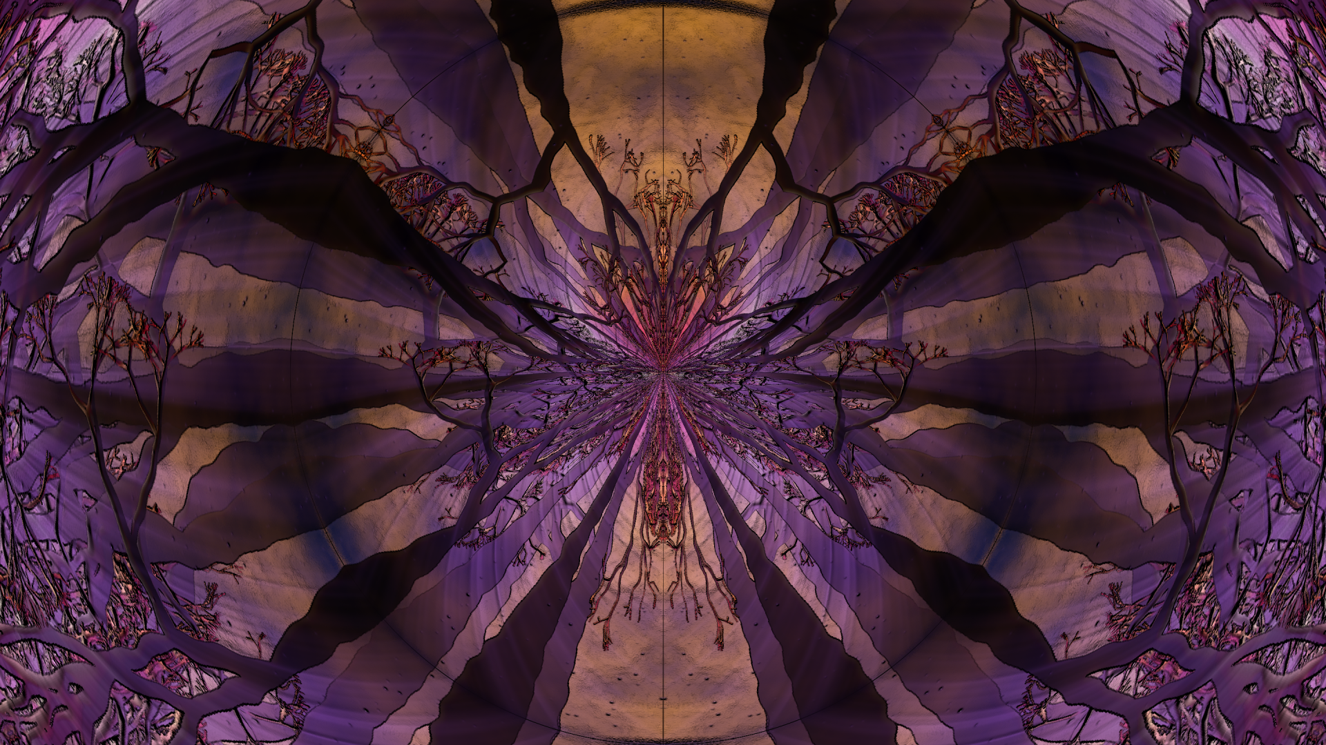 butterfly.png