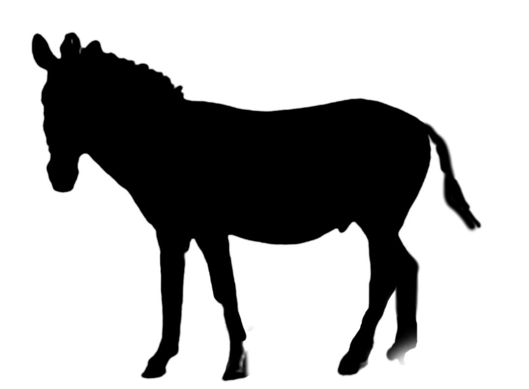 zebra_mask.png