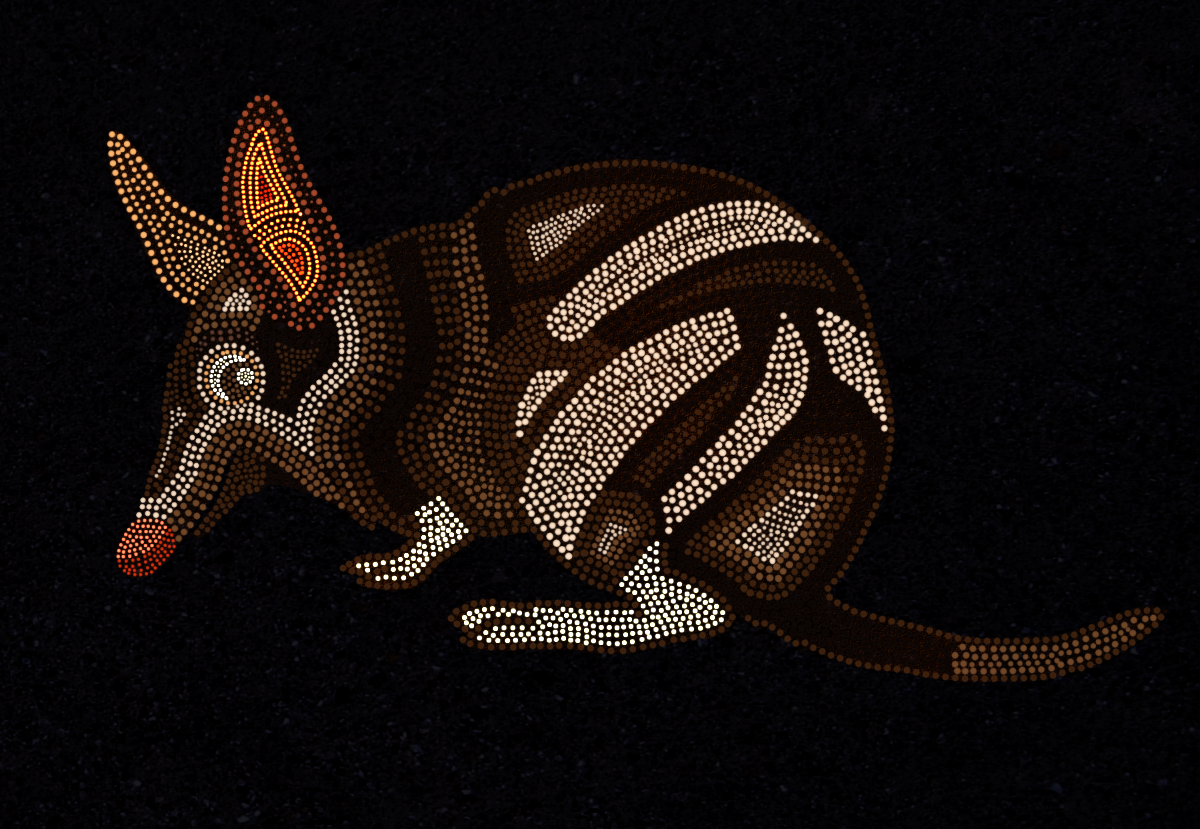 bandicoot_dotty.png