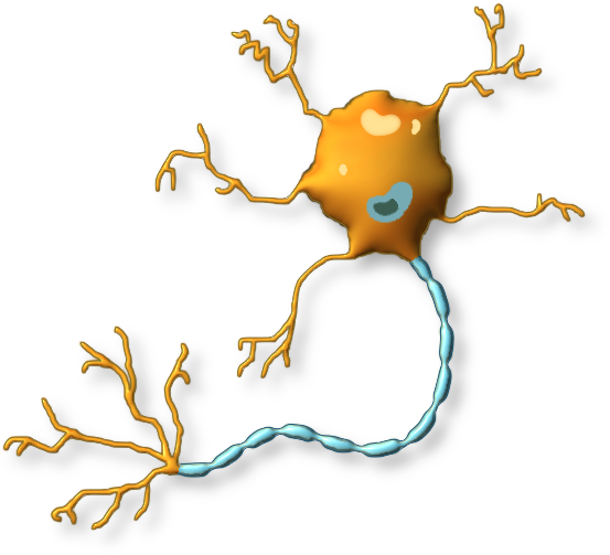 neuron.png