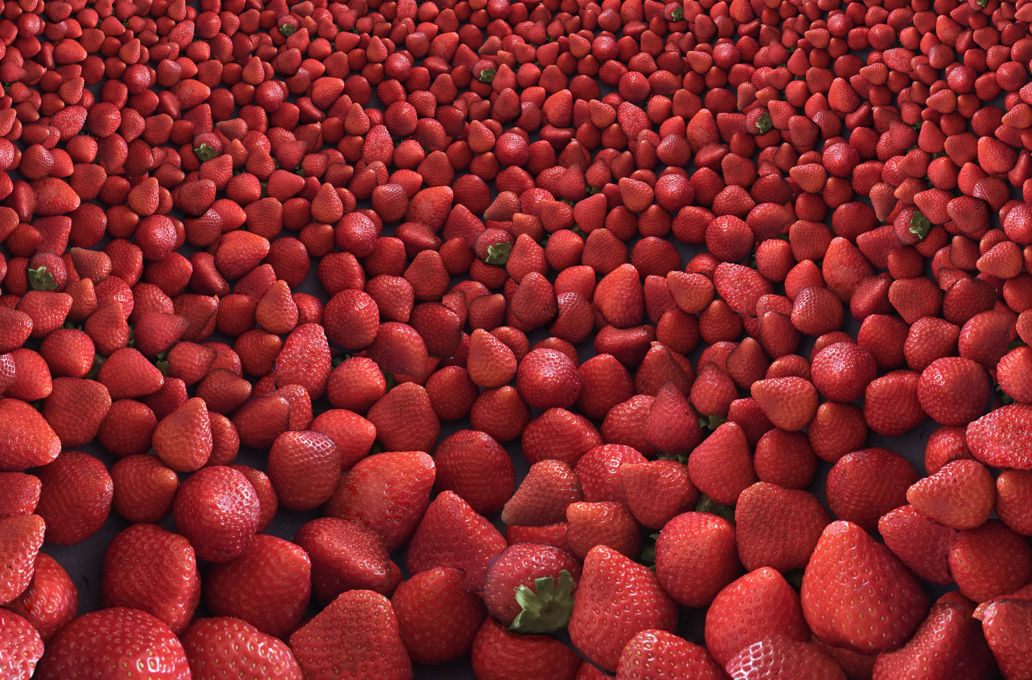 lotza_strawberries.jpg