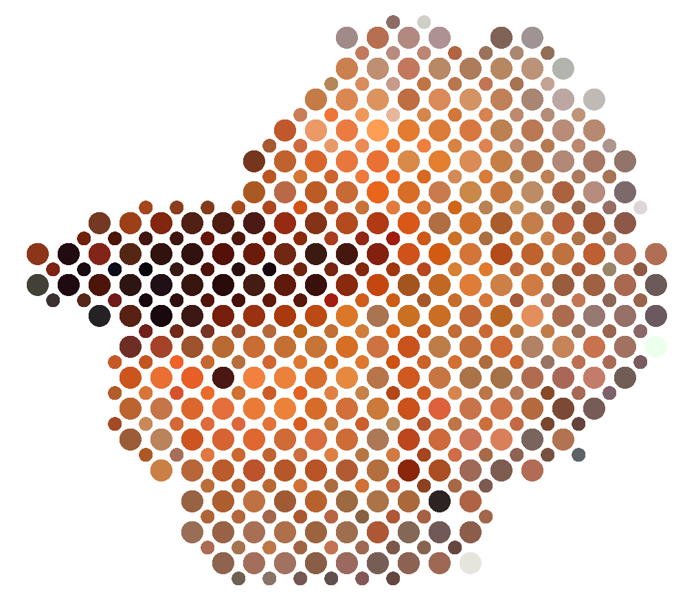 siameseff.png