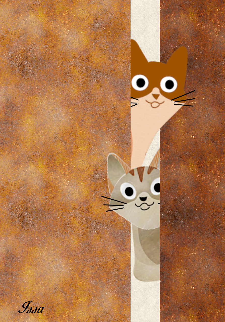 Curious-cats-Boho_Issa.jpg